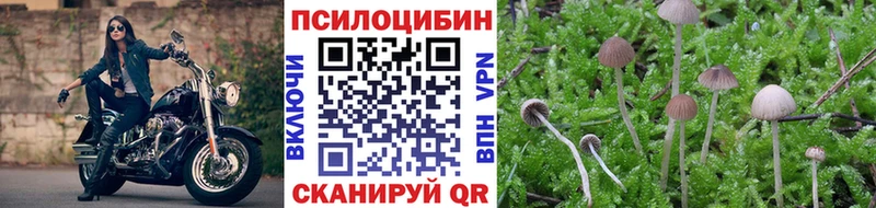 Псилоцибиновые грибы Psilocybe  MEGA ONION  Балей 